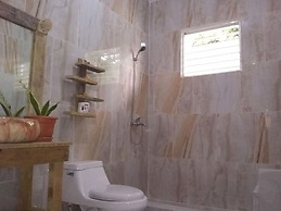 Executive Suite - Apartment 7 in Villa Coconut