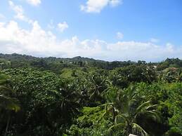 Executive Suite - Apartment 7 in Villa Coconut