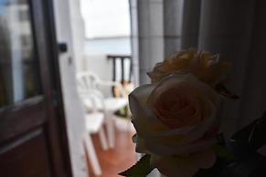 Beautiful House in Front of the sea