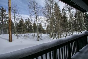 Mammoth Green 102 Amazing Unit, 300 Yards to Eagle Lifts Underground P