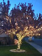 Horseshoe Bend Motel