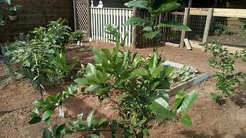 Moradas Rosa dos Casais