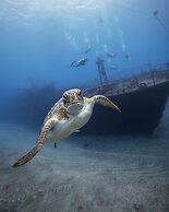 Golden Rock Dive And Nature Resort
