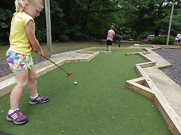 The Vintage Rv's at Wilderness Presidential by Tripforth