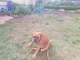 Lovely 2-bed House in Klarici Close to Pula