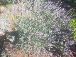 Lovely 2-bed House in Klarici Close to Pula