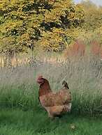 Cosy Glamping 4m Bell Tent in Rural Herefordshire