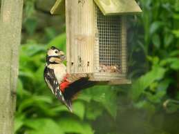 Cosy Glamping 4m Bell Tent in Rural Herefordshire