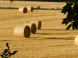 Cosy Glamping 4m Bell Tent in Rural Herefordshire
