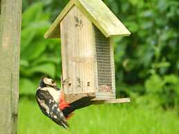 Comfy 4m -bed Bell Tent With Great Views
