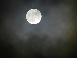 Comfy 4m -bed Bell Tent With Great Views