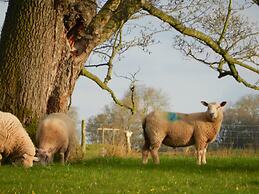 Comfy 4m -bed Bell Tent With Great Views