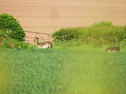 Comfy 4m -bed Bell Tent With Great Views