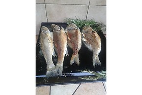 Stunning Sea View Apartment in Rab