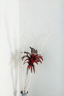 Neoklassiko Koukouli