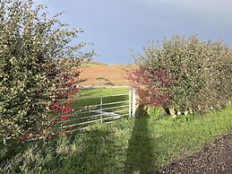 Bike Shed - Beautiful 1-bed Cottage in Shorwell