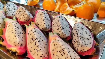 Almont Hotel Nippori