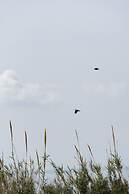 Saint John Oia - Exclusive Private Heated Pool Villas