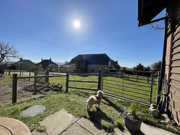 Surf Shack - Impeccable 1-bed Cottage in Shorwell