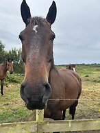 Entire Cosy Home From Home Country Retreat