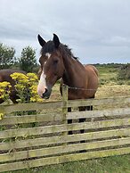 Entire Cosy Home From Home Country Retreat