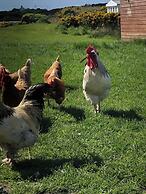 Entire Cosy Home From Home Country Retreat