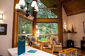 Mt Baker Lodging Cabin 4 - Sleeps 5