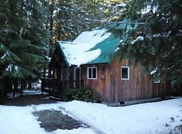 Mt Baker Lodging Cabin 32 - Sleeps 7