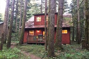 Mt Baker Lodging Cabin 12 - Sleeps 4