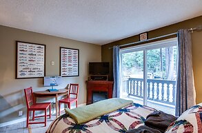 Mt Baker Lodging Condo 37 - Sleeps 2