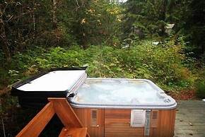 Mt Baker Lodging Cabin 34 - Sleeps 8