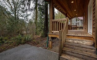 Mt Baker Lodging Cabin 20 - Sleeps 6