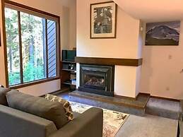 Mt Baker Lodging Condo 14 - Sleeps 6