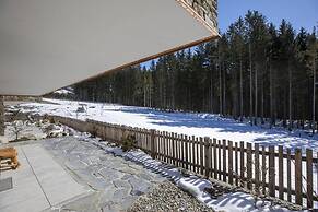 Ornate Chalet in Neukirchen near Wildkogel Ski Arena