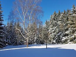 Apartment With Private Terrace