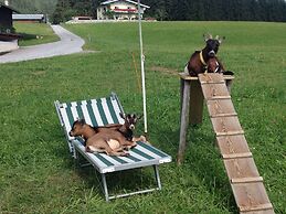 Pleasant Apartment in Hopfgarten near Ski Area