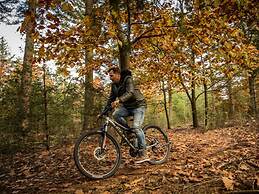 Luxurious Villa With a Garden Surrounded by Natur