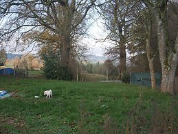 Holiday Home in Grand Helleux