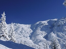 Ravishing Apartment in Seefeld in Tirol With Infrared Sauna