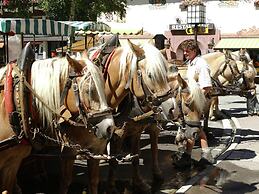 Ravishing Apartment in Seefeld in Tirol With Infrared Sauna