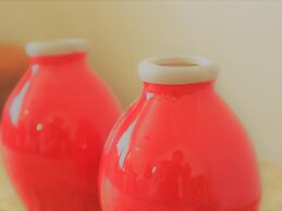 Wonderful Mansion in Giethoorn near Museum with Terrace