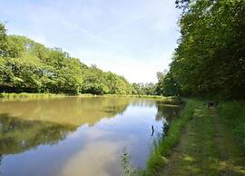 Idyllic Lakeside Cottage