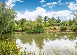 Idyllic Lakeside Cottage