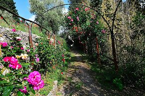 Rustic Elegance Near Florence