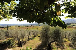 Rustic Elegance Near Florence