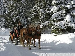 Apartment in Seefeld in Tirol With Gardenter