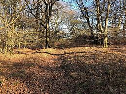 6 Person Holiday Home in Roslev