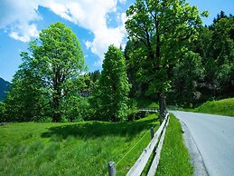 Apartment Bergblick Anna in Kaprun With Balcony