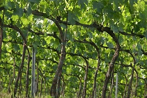 Belvilla by OYO Casalini 2