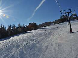Nice Apartment With Dishwasher, Near the Ski Slopes